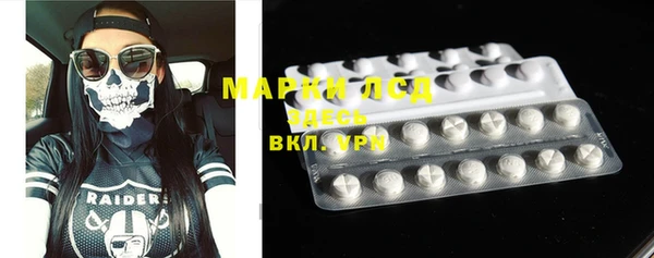 ECSTASY Алзамай