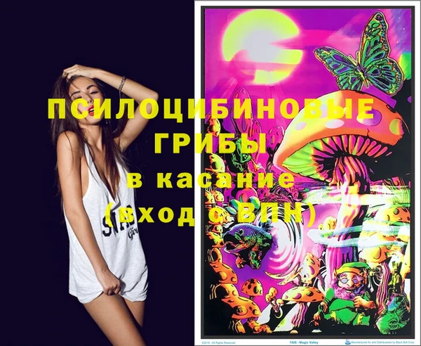 ECSTASY Алзамай