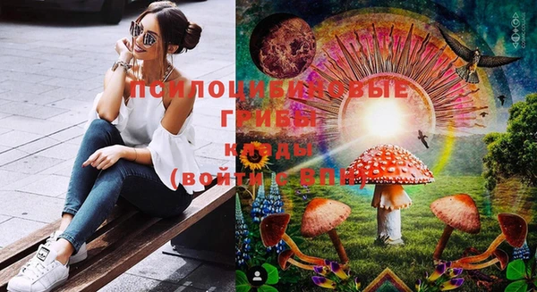 бошки Алексеевка